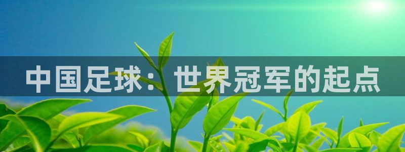 世界杯亚洲预选赛18强赛程：中国足球：世界冠军的起点
