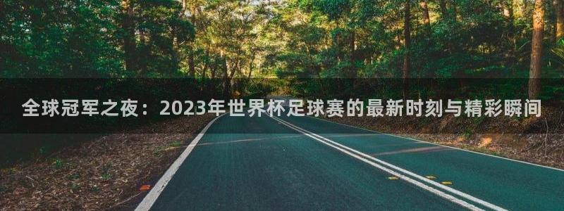 国际足联世界杯：全球冠军之夜：2023年世界杯足球赛的最新时刻与精彩瞬间