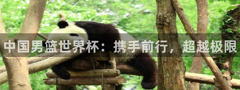2026世亚预赛赛程表：中国男篮世界杯：携手前行，超越极限