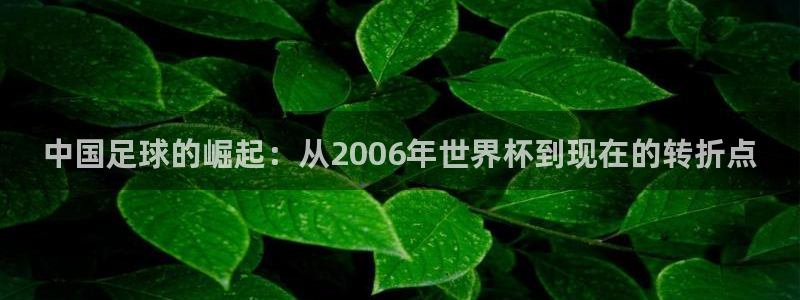 足球世界杯2026：中国足球的崛起：从2006年世界杯到现在的转折点