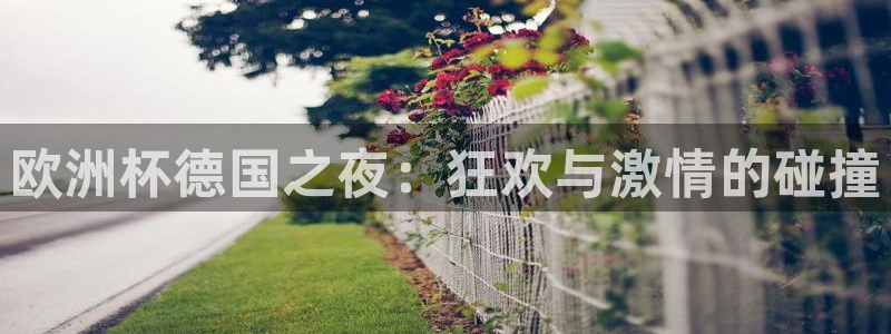 世界杯比赛赛程：欧洲杯德国之夜：狂欢与激情的碰撞