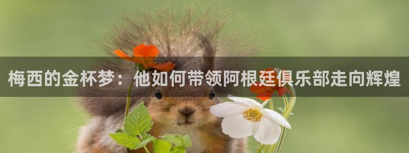 世界杯预选赛排名：梅西的金杯梦：他如何带领阿根廷俱乐部走向辉煌