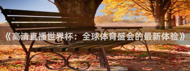 世界杯足球比赛：《高清直播世界杯：全球体育盛会的最新体验》