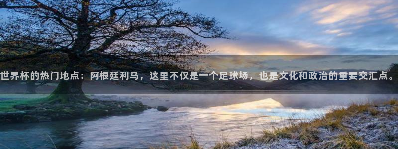 女足世界杯赛程：世界杯的热门地点：阿根廷利马，这里不仅是一个足球场，也是文化和政治的重要交汇点。