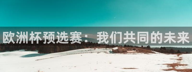 2026世界杯对阵图：欧洲杯预选赛：我们共同的未来