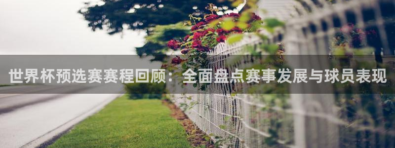 世界杯决赛预测：世界杯预选赛赛程回顾：全面盘点赛事发展与球员表现