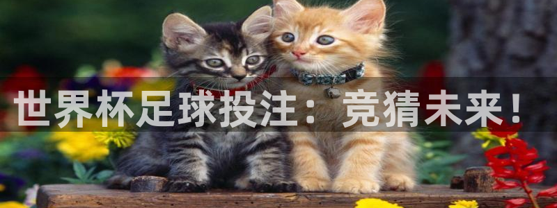 世界杯亚洲区预选赛积分榜：世界杯足球投注：竞猜未来！