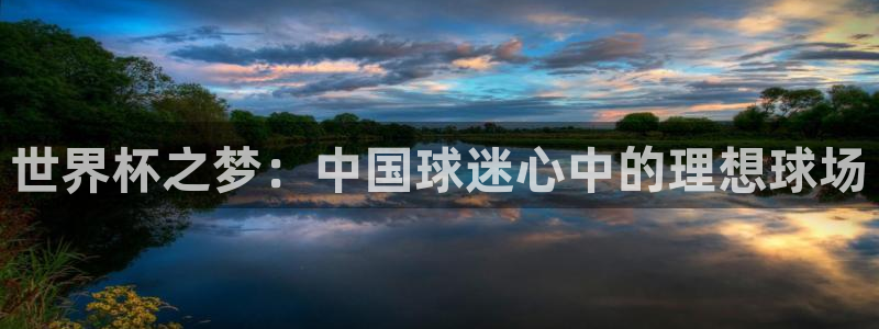 世界杯决赛圈球队：世界杯之梦：中国球迷心中的理想球场