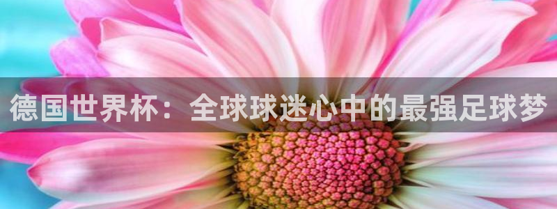 2026世界杯对阵图：德国世界杯：全球球迷心中的最强足球梦