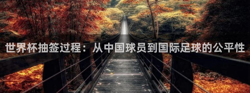 世界杯小组赛赛程：世界杯抽签过程：从中国球员到国际足球的公平性