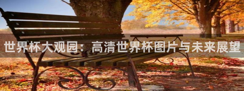 世界杯2026赛程表：世界杯大观园：高清世界杯图片与未来展望