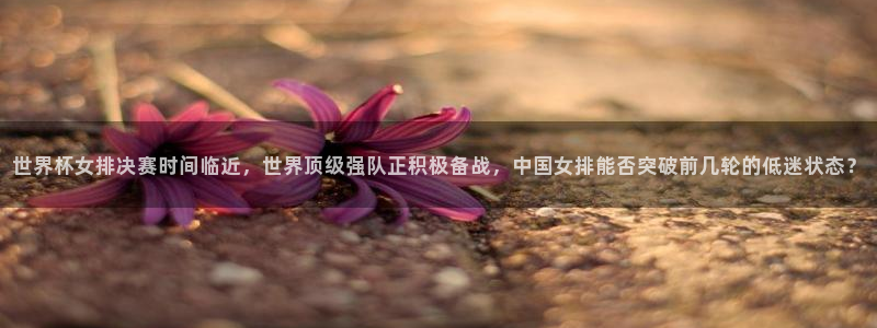 2026世界杯直播免费观看：世界杯女排决赛时间临近，世界顶级强队正积极备战，中国女排能否突破前几轮的低迷状态？